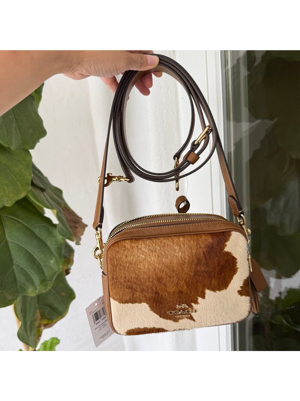 Coach Mini Carey Crossbody Bag In Haircalf With Cow Print CEK71 Gold/Cow Multi